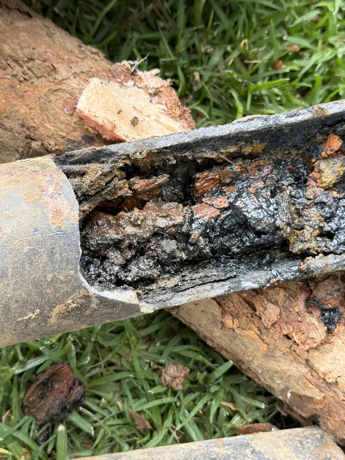 Cut-open cast iron pipe packed with corrosion and buildup